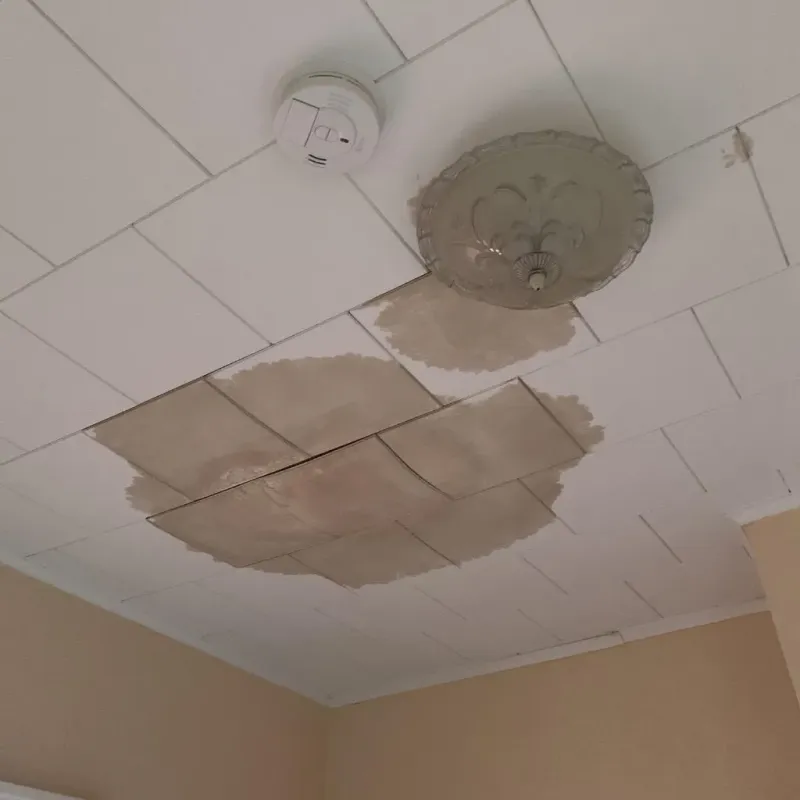 Ceiling Water Damage Repair in Bowdon, GA