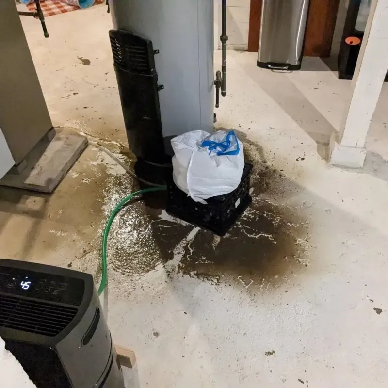 Sewage Backup Cleanup Service in Bowdon, GA